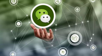 奎屯人,微信再次重拳出擊,這些頭像 昵稱(chēng)或發(fā)布這些內(nèi)容將被永久封號(hào)