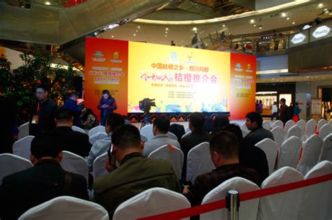 成都品牌營銷推廣大全 整合資源，引爆市場